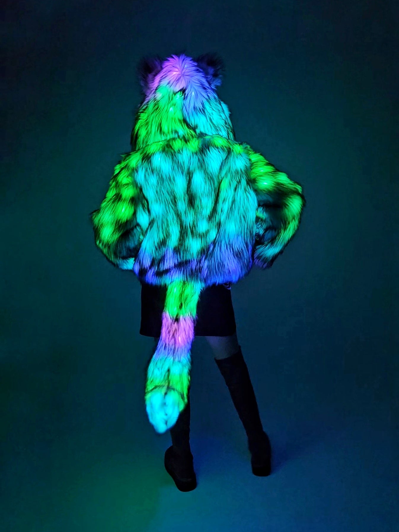LED Tail