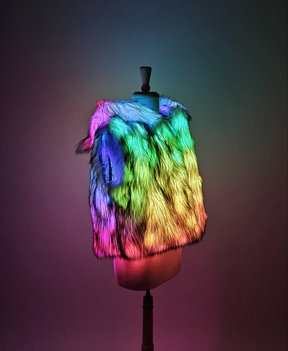 LED Vest