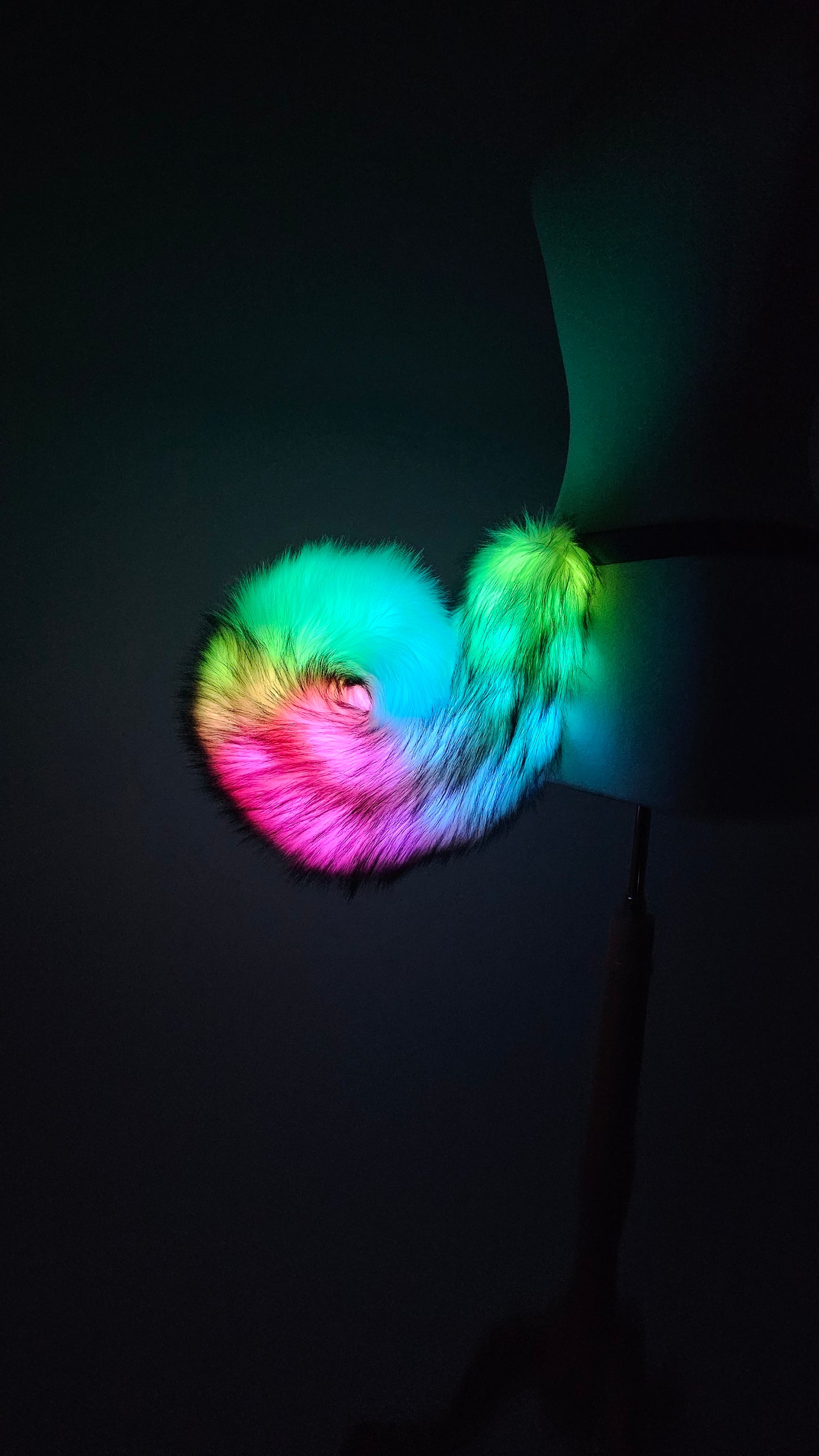 LED Tail