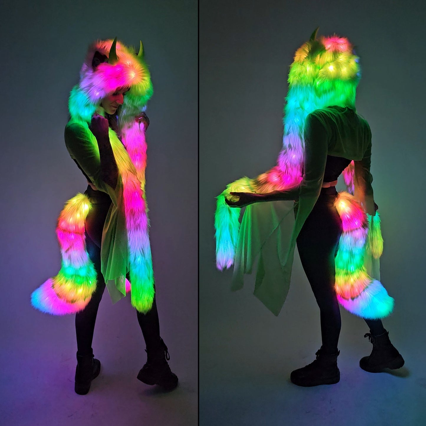 LED Tail