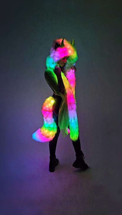 Custom LED Festival Hood