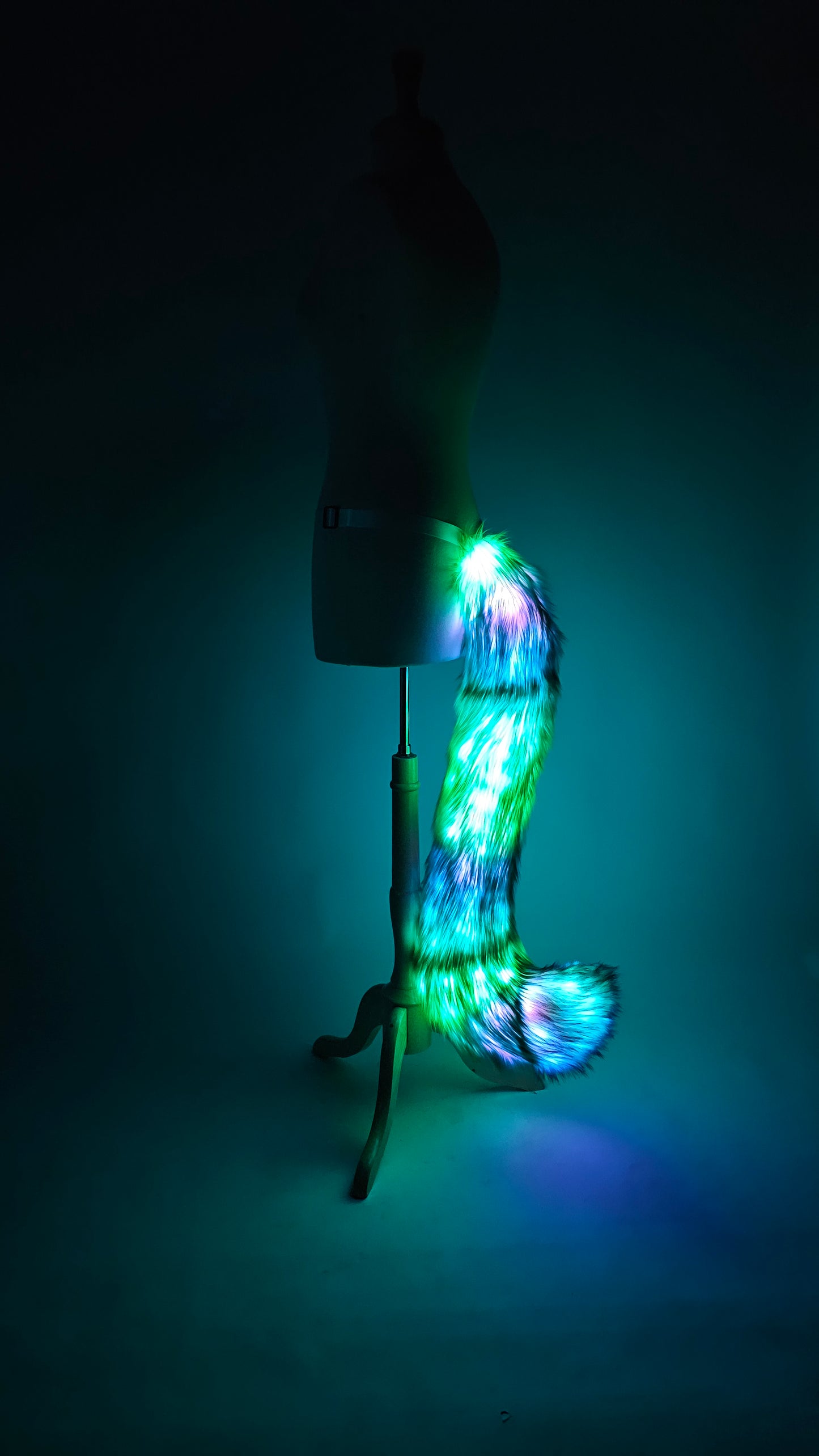 LED Tail